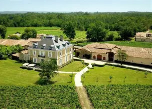 CHATEAU HAUT-BAILLY | Pessac-Léognan
